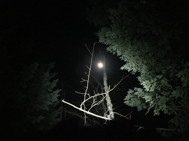 Spooky night rides alone in the Maine woods in the middle of winter? Check.